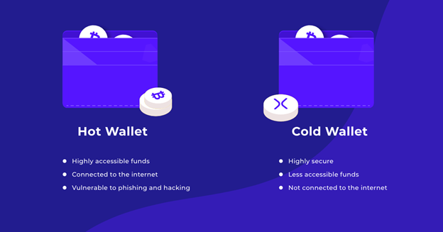 differences betwen hot and cold wallets